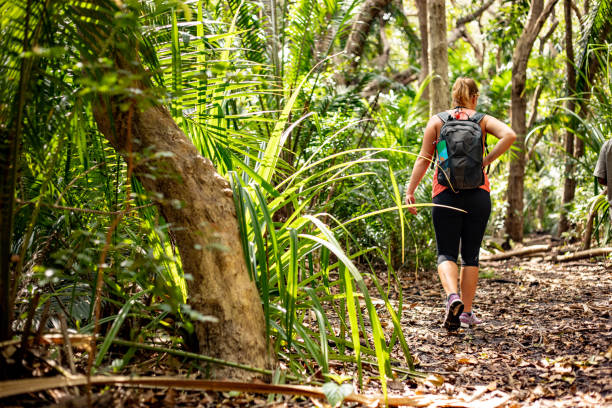 1 Day Kilimanjaro Lemosho Forest Hike – Short Scenic Trek