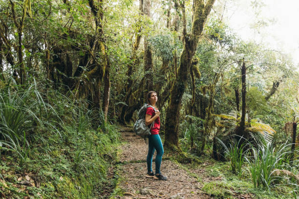 best route on kilimanjaro for beginners