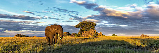 3 days mikumi safari tanzania