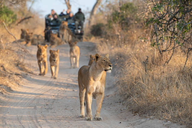 8 days private safari in tanzania