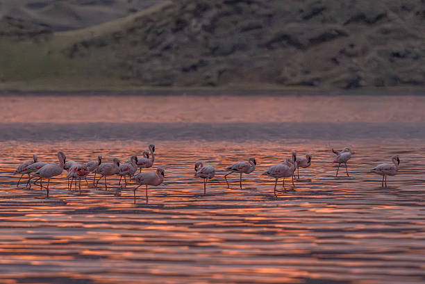 4 days oldonyo lengai trek package