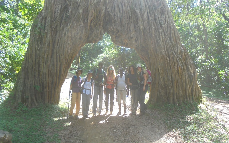4 days mount meru trek price from arusha