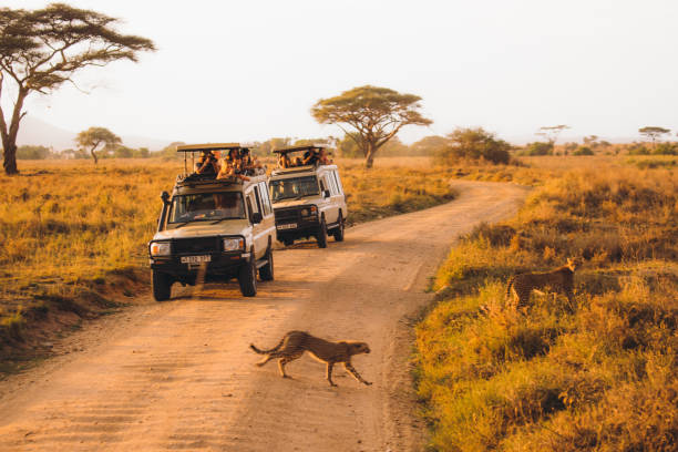 5 days private family safari tanzania