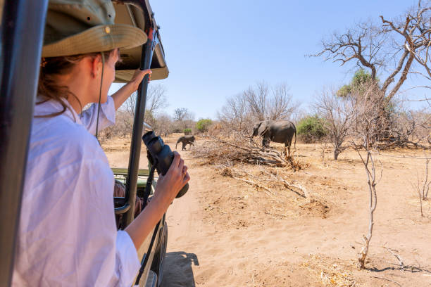 6 days private family safari tanzania