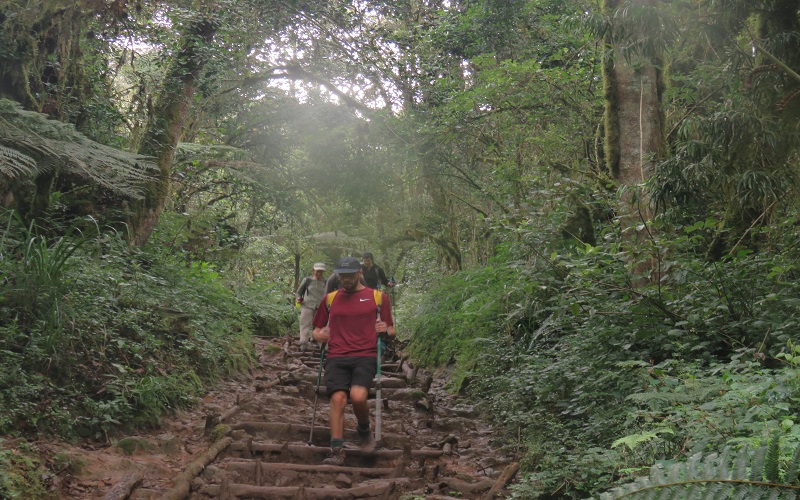 7 days kilimanjaro umbwe route itinerary & cost
