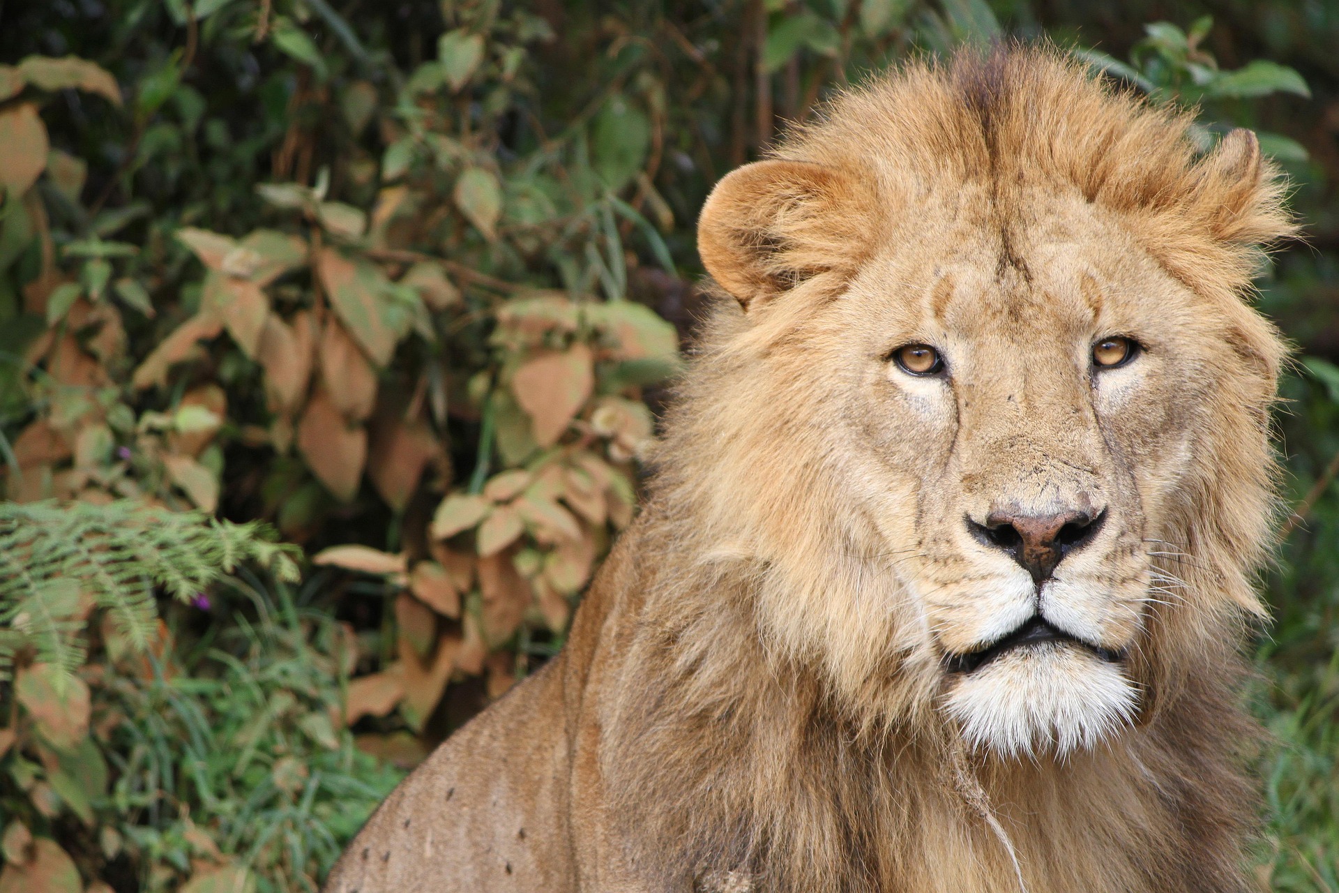 7 days luxury safari in tanzania