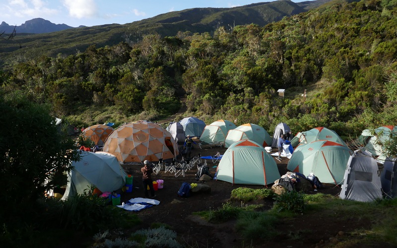 8 Day Lemosho Route