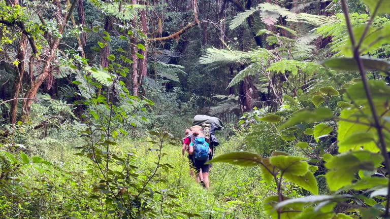 northern circuit trekking package tanzania