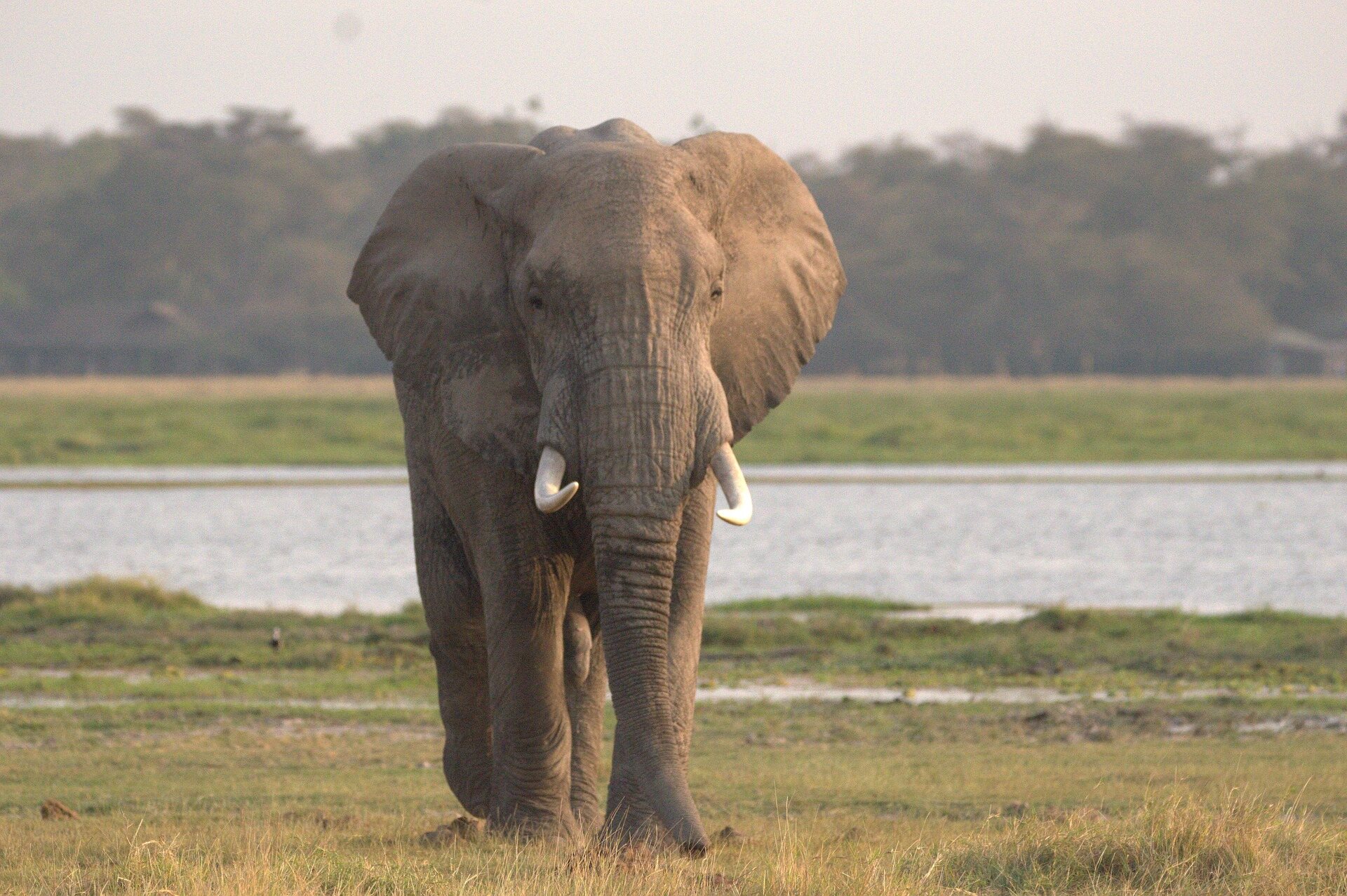 9 days budget & camping safari in tanzania