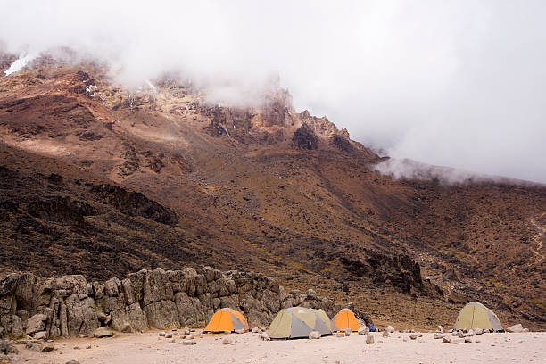 8 days lemosho group joining trek