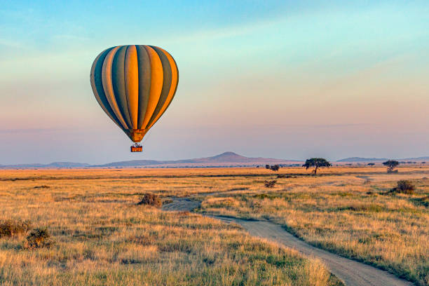 9 days luxury family safari tanzania