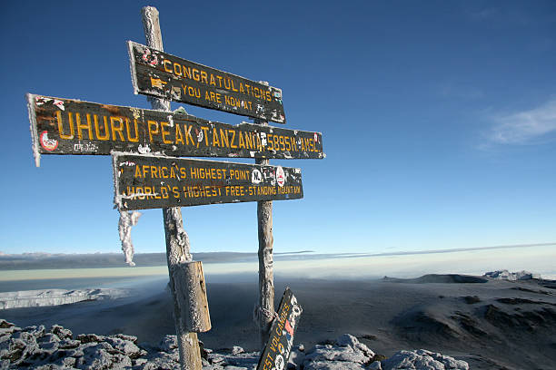 arusha kilimanjaro climbs