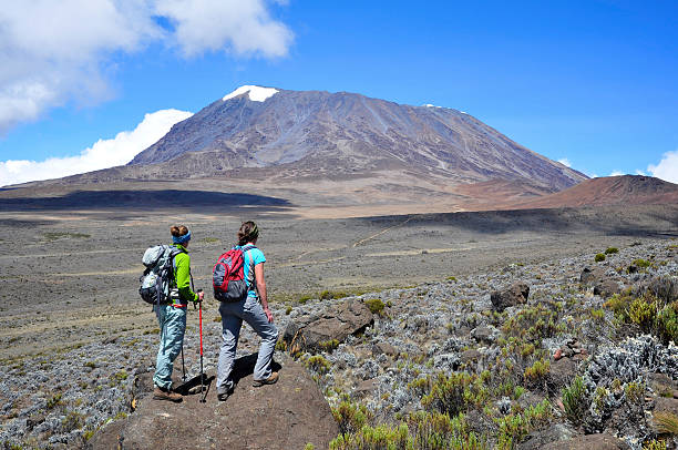 kilimanjaro private tour cost