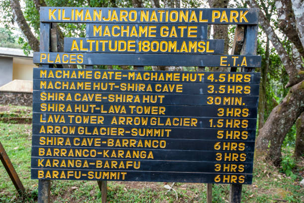 kilimanjaro climb price including everything