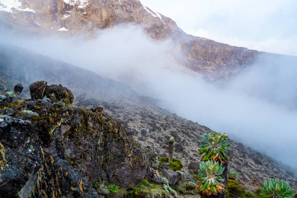 kilimanjaro climbing during dry seasons