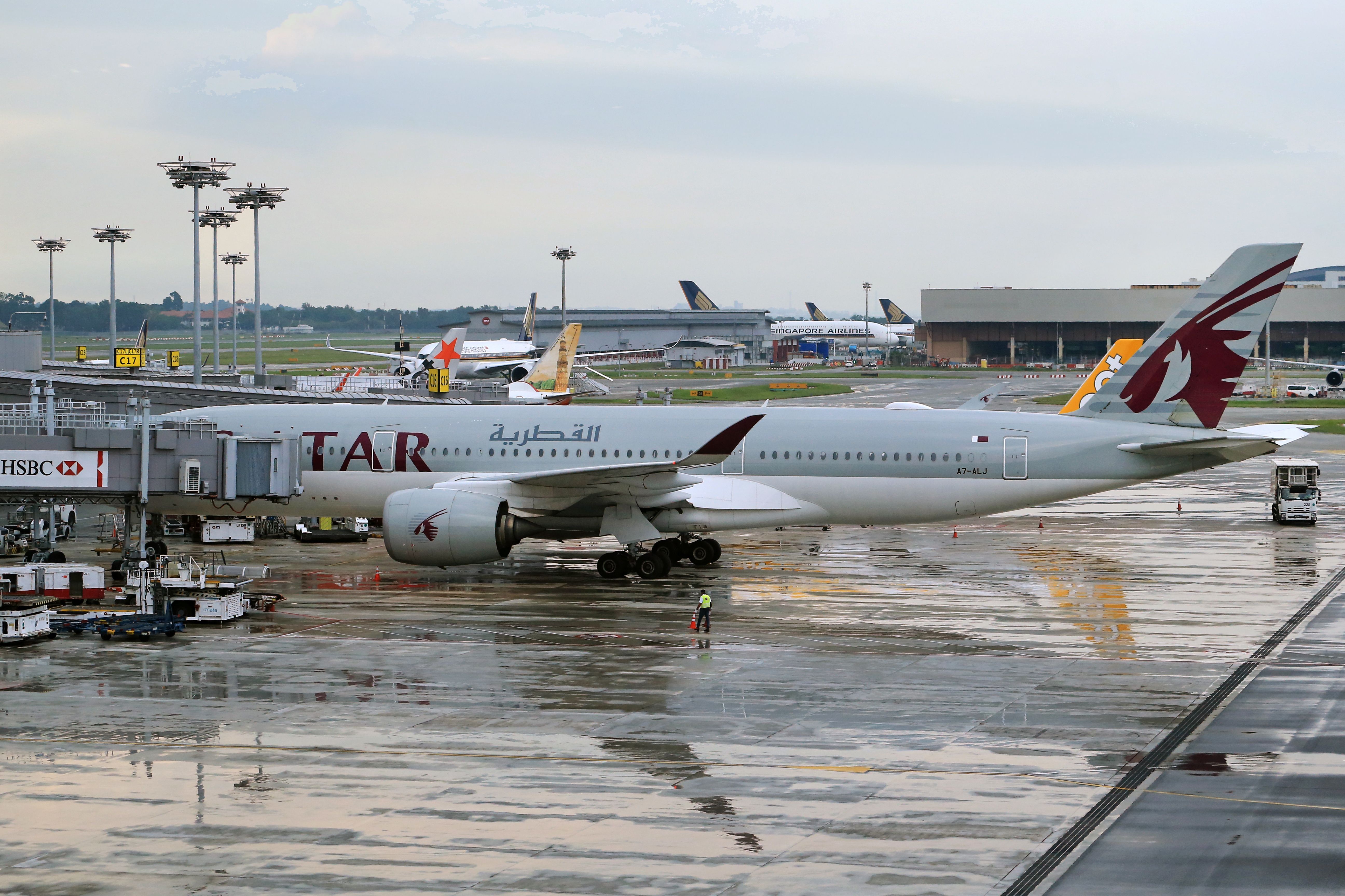 Best Airlines Flying to Africa: A Detailed Guide to Routes, Connections and Travel Value