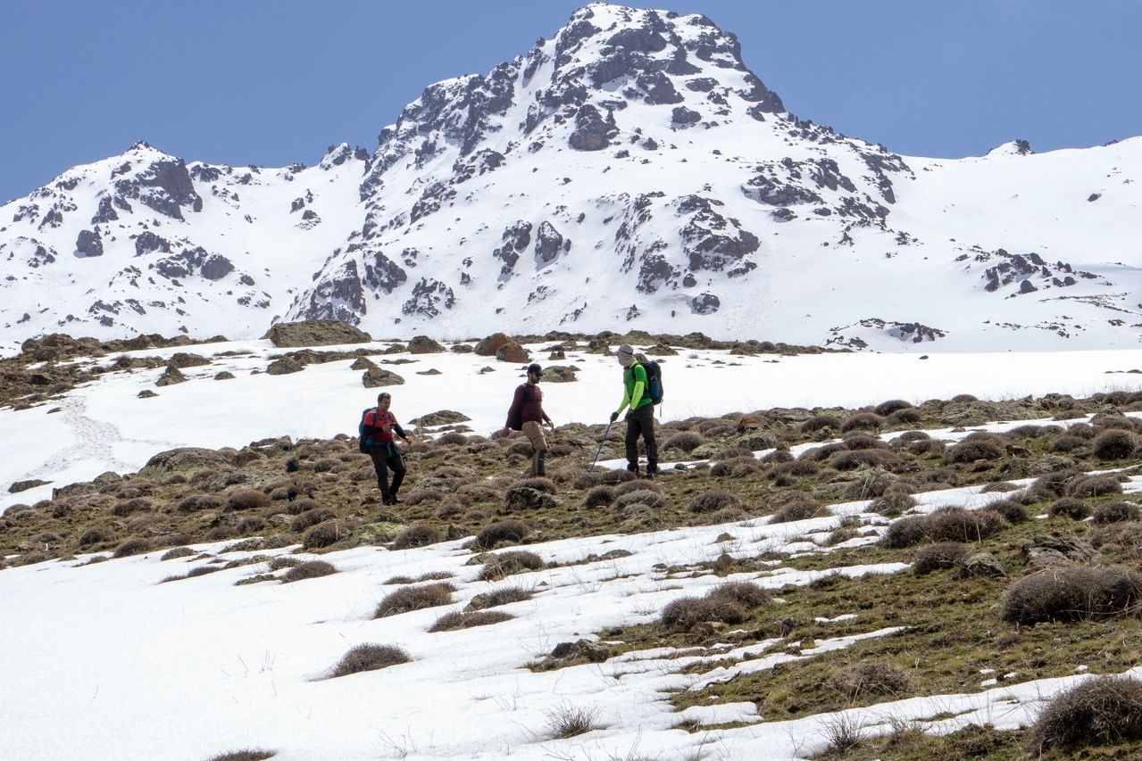 mount kenya trekking for beginners