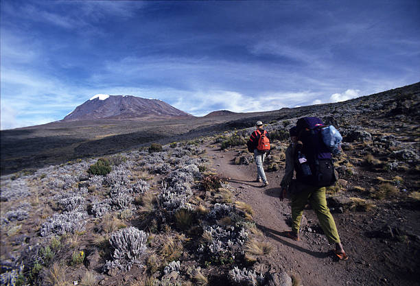 kilimanjaro success rate routes