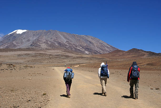 mount kilimanjaro trekking packages tanzania