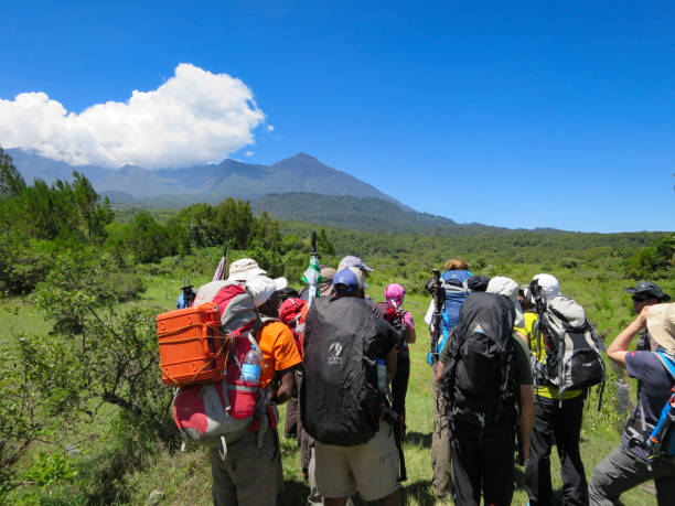 mount kilimanjaro guided tours