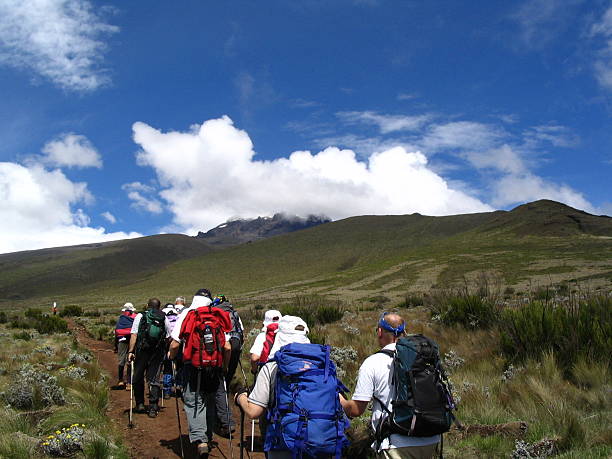 kilimanjaro group joining price