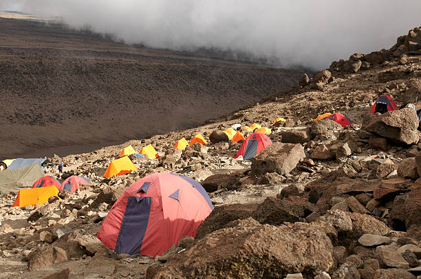 kilimanjaro group joining trekking