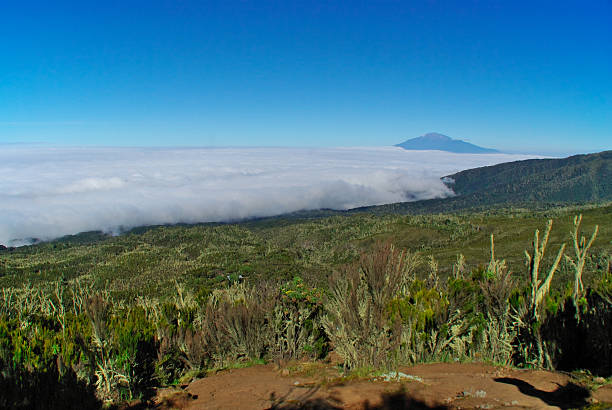 kilimanjaro summit package tanzania