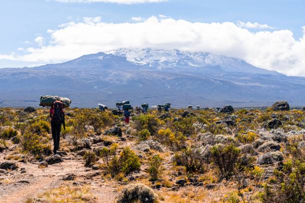 machame vs lemosho kiimanjaro