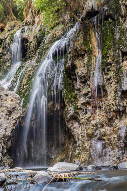 Materuni Waterfall & Coffee