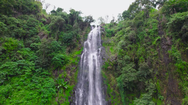 kilimanjaro waterfall day tour moshi tanzania
