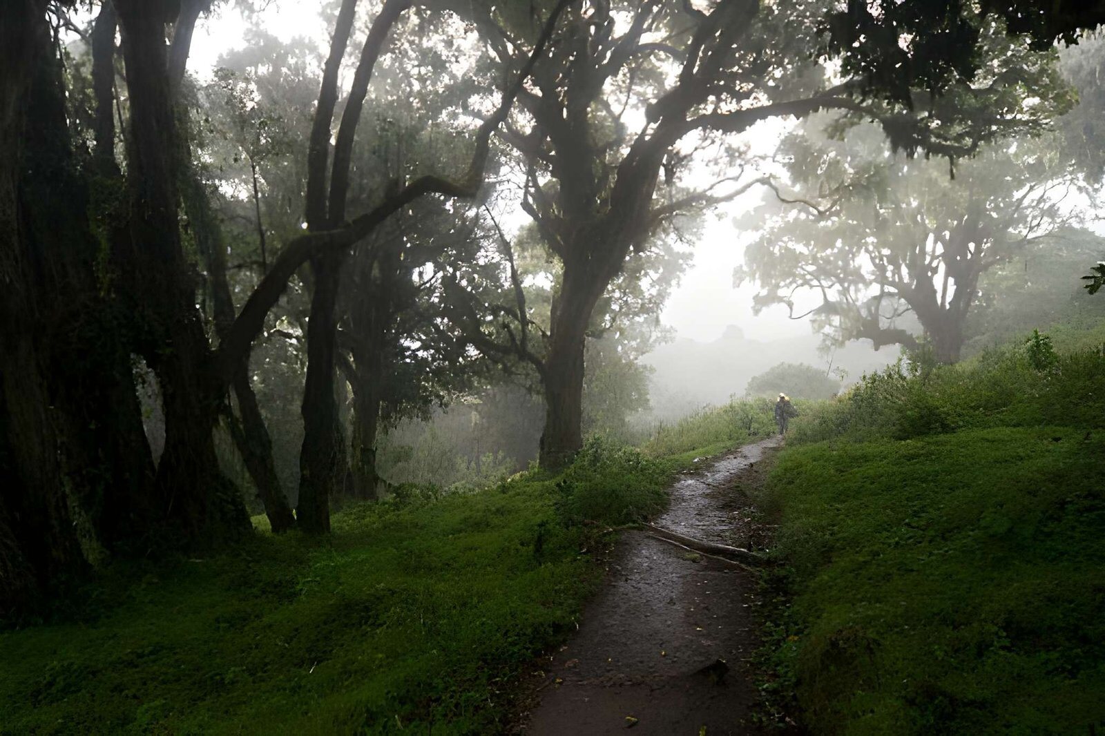 mount meru trekking for beginners