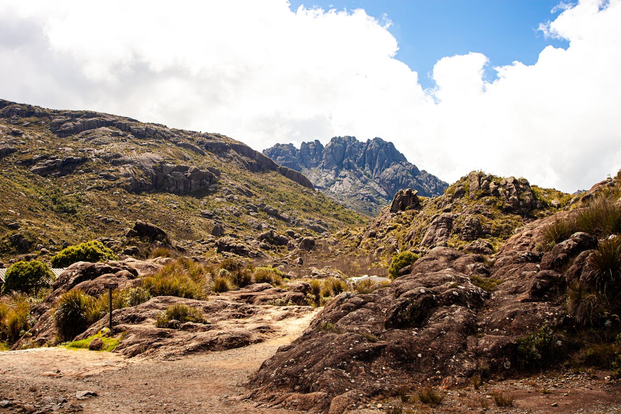 mount kenya guided trek
