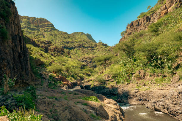 how much does it cost to climb kilimanjaro including flights from usa?
