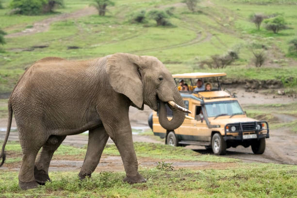 tarangire national park day trip