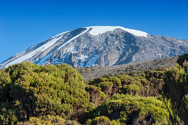 lemosho route kilimanjaro tour package tanzania