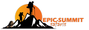 Epic Summit Safaris